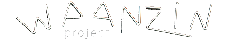 Project Waanzin